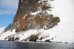 12B Penguin Colonies Below Lichen Clad Cliffs Of Cuverville Island From Zodiac On Quark Expeditions Antarctica Cruise